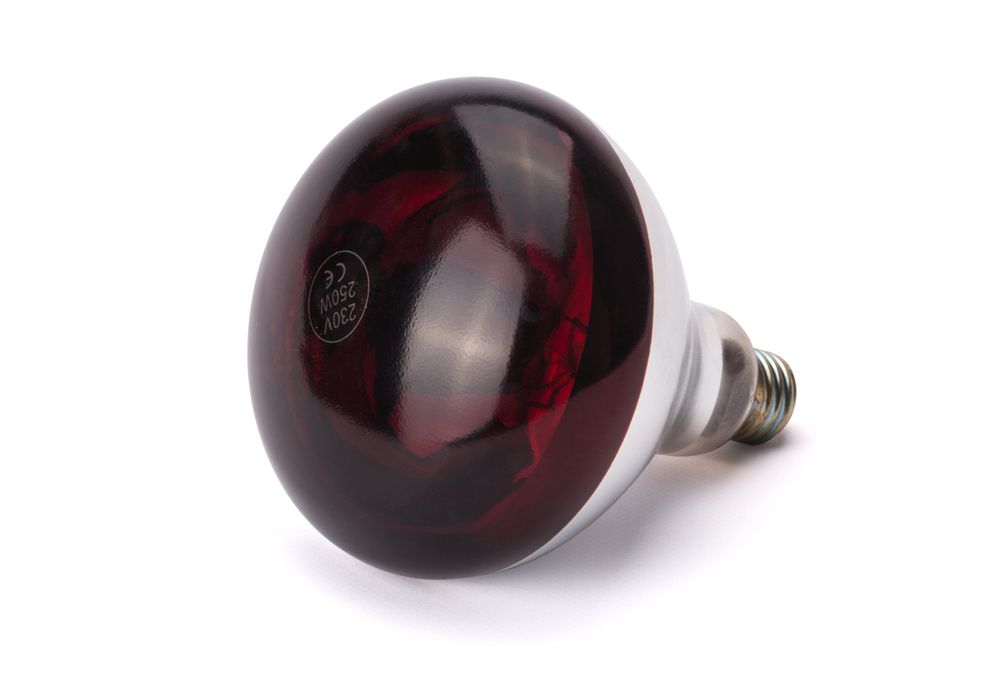 Infrarot-Glühlampe    Rot  230V/250W  ø125x(H)170mm-ING11676