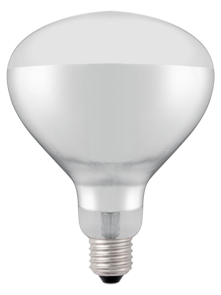 Infrarot-Glühlampe    Weiß  230V/250W  ø125x(H)170mm-ING11678